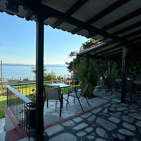 Domi's House