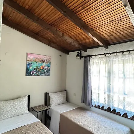 Domi's House 펜션