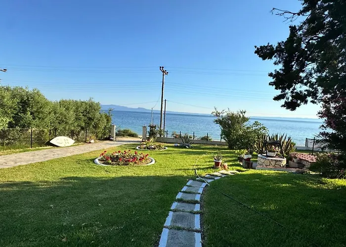 Domi's House *