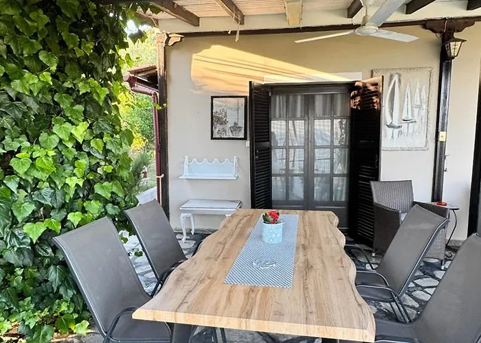 Domi's House